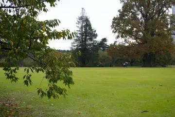 Shot taken at Shinjuku&nbsp;Gyoen