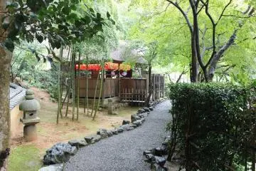 <p>Through the bamboo trees you catch a glimpse of the miscarried children jizo statue hall</p>