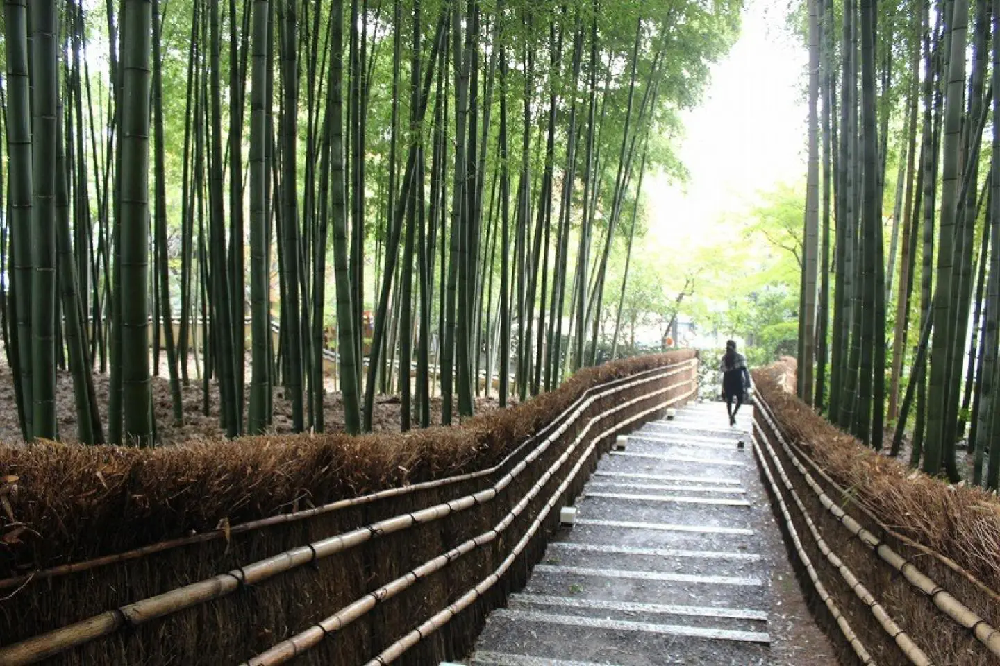 Kyoto Adashino Nenbutsu-ji 2 of 4