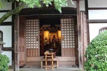 Gallery image