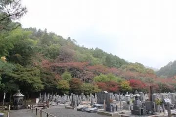 <p>The "six-sided, six-bodies of jizo" stand silently on a quiet hill</p>
