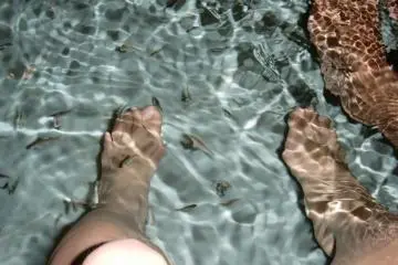 Turkish Hamam -- Doctor fish foot bath filled with little fish in a pool that eat off your feet.  There is a line for this attraction and you can pay 1000 yen for an official photograph