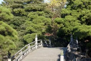 <p>สะพานไม้ Keyakibashi Bridge อันเก่าแก่ประณีตท่ามกลางสวนญี่ปุ่นที่ร่มรื่นงดงามภายในบริเวณพระราชวังเกียวโตชั้นใน</p>