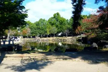 <p>The pond</p>