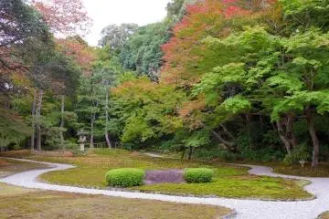 El jardín de musgo