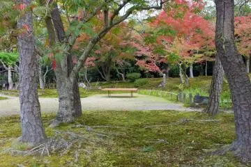 <p>Secluded yet beautiful</p>