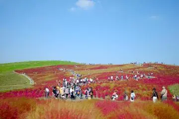 Le Parc Hitachi Seaside en Automne
