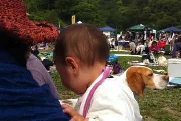 Babies and dogs