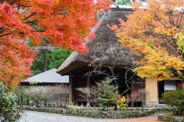 <p>But the changing fall colors will leave you captivated and keep you there for hours</p>