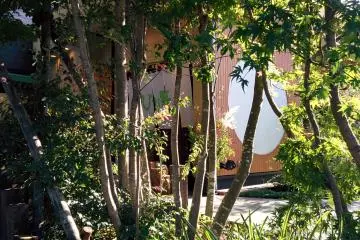 Hinano Organic Buffet in Moriya [مغلق]
