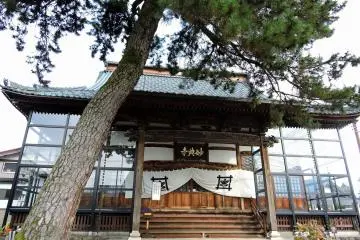 Gallery image