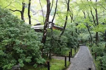 산문을 통과하면 식재 너머로 본당 지붕이 보인다