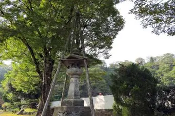<p>This lantern also has wooden supports. They could be for protection from heavy snow in winter, but probably they are to prevent the ancient lantern from collapsing.</p>