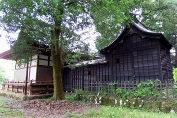 Gallery image