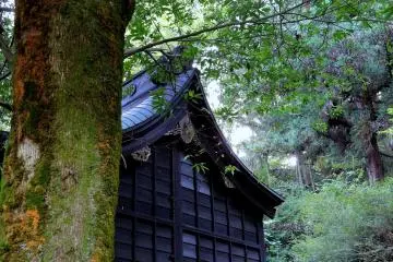 Graceful Yanagino Yashiro Shrine