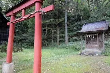 Gallery image