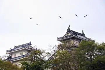 <p>Crows in the sky over Echizen Ono Castle</p>