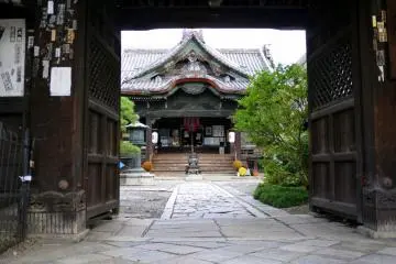 <p>Main hall of Gyoganji framed by the gate</p>