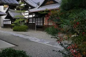 <p>Graceful temple roof shapes</p>