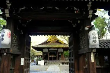 <p>Looking through the gate &nbsp;</p>