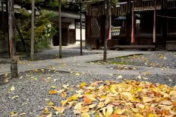 <p>Yellow leaves have been swept into a small pile</p>