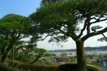 Kairakuen Park, Mito