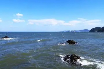 <p>In the area, the sea is so alive that it makes the view beautiful everywhere.&nbsp;</p>