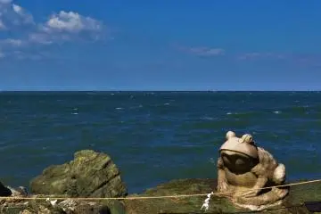 <p>You can see cute statues of frog all around the shrine and Meoto-Iwa.&nbsp;</p>