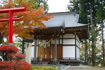 Gallery image