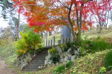 <p>Beautiful color combinations</p>