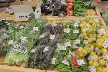 야채는 지역 아와라, 미쿠니외에 하루에, 오노 등 거의 모든 것이 후쿠이산이다