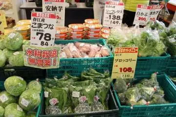 채소는 산지가 가까워서 아무튼 싱싱하다. 그리고 맛있고, 싸다