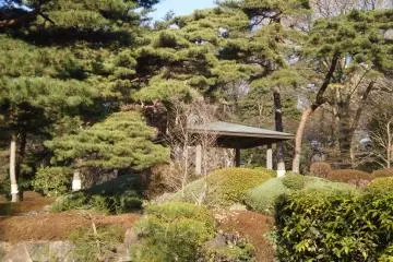 Japanese Garden.
