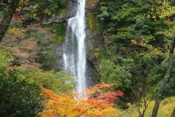 <p>In autumn, the changing maples make this a favorite spot of photographers</p>