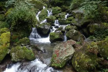 <p>The falls run into the Kuma River, which runs through a good portion of western Kyushu</p>