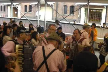 The band entertaining the crowd