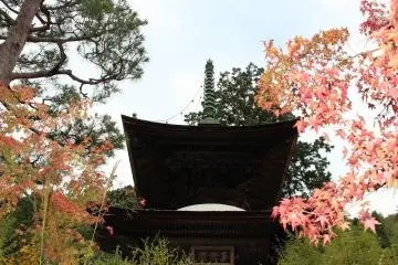 다보탑. 중요 문화재. 겐나 6 (1620)에 건립