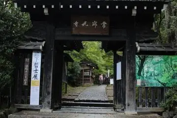조작코지, 산문