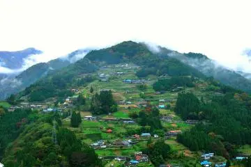<p>The houses of Ochiai Village are built along stone-walled terraces</p>