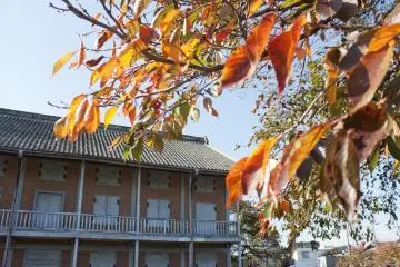 Tomioka Silk Mill and Related Sites