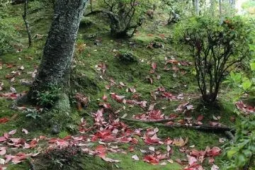 다보 탑 밑의 사면