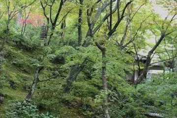 본당과 다보탑 사이에 있는 연못
