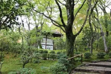 니오몬 동쪽