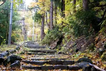 <p>The Nanamagari which has been beautifully preserved through time</p>