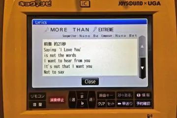 <p>You can review lyrics before adding a song to your playlist</p>
