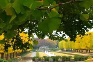 The contrast of the colors is simply amazing!