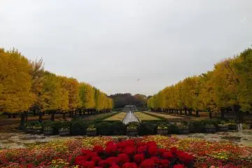 Majestic entrance of the park!