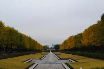 Even on a cloudy day it can be so beautiful