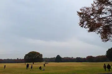 The park has quite a spacious area in the middle where you just want to start running around!