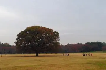 Watching people from all ages enjoying Mother Nature is an extraordinary feeling
